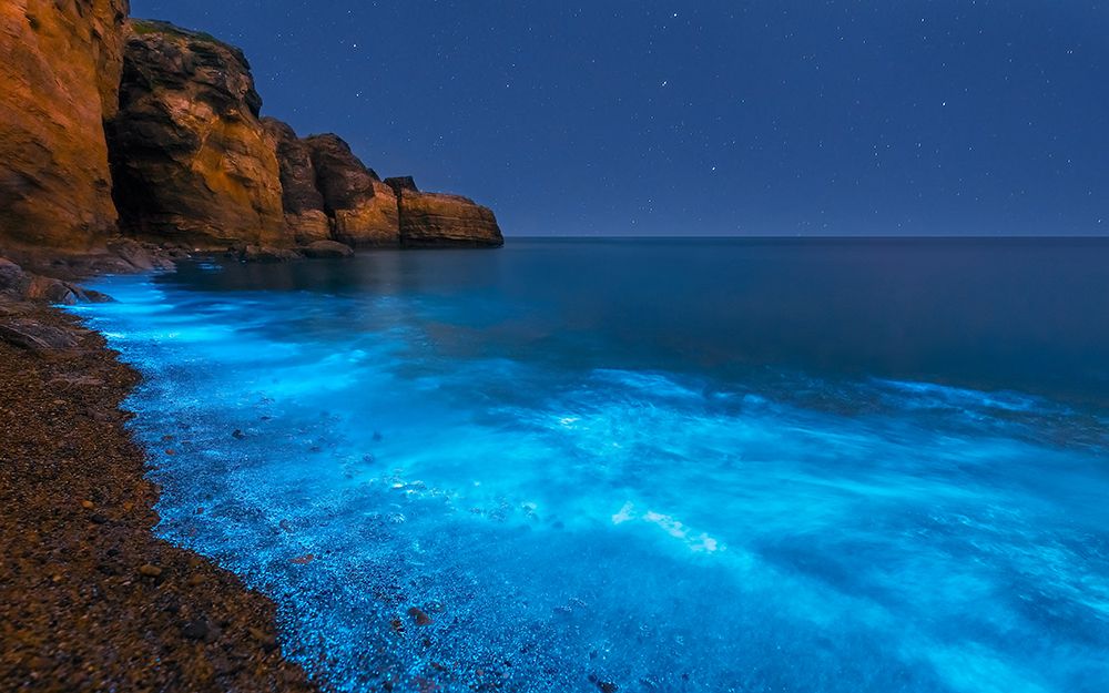Bioluminescent Bay art print by Hua Zhu for $57.95 CAD