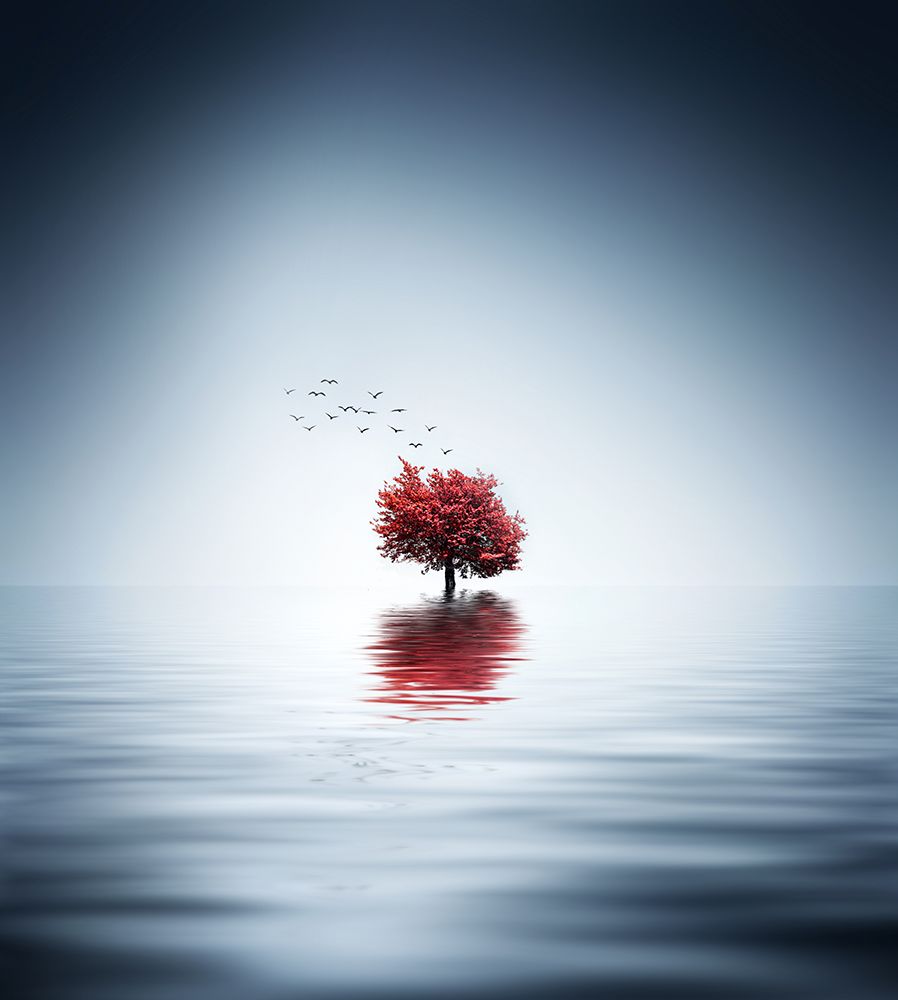 Autumn Trees Reflected Blue Lake art print by Bess Hamiti for $57.95 CAD