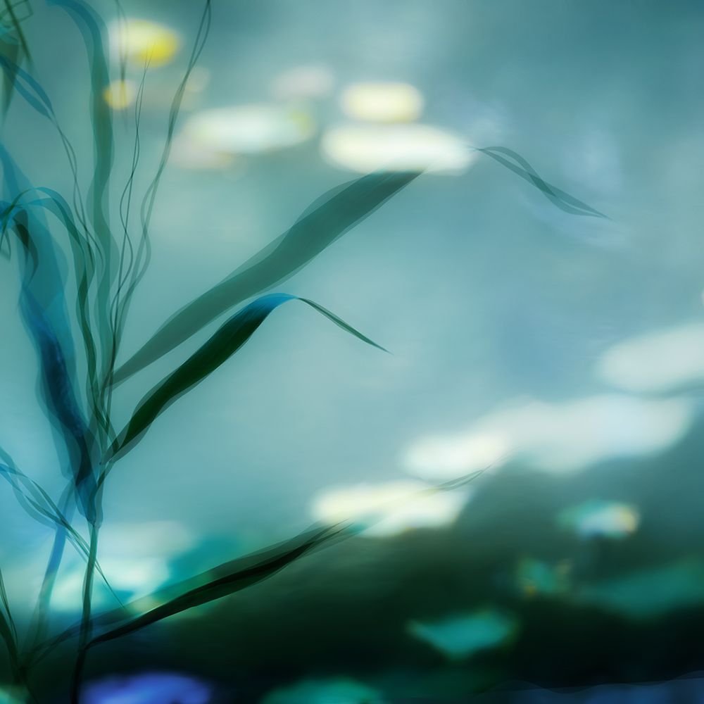 Ripples In Suzhou art print by Piet Flour for $57.95 CAD