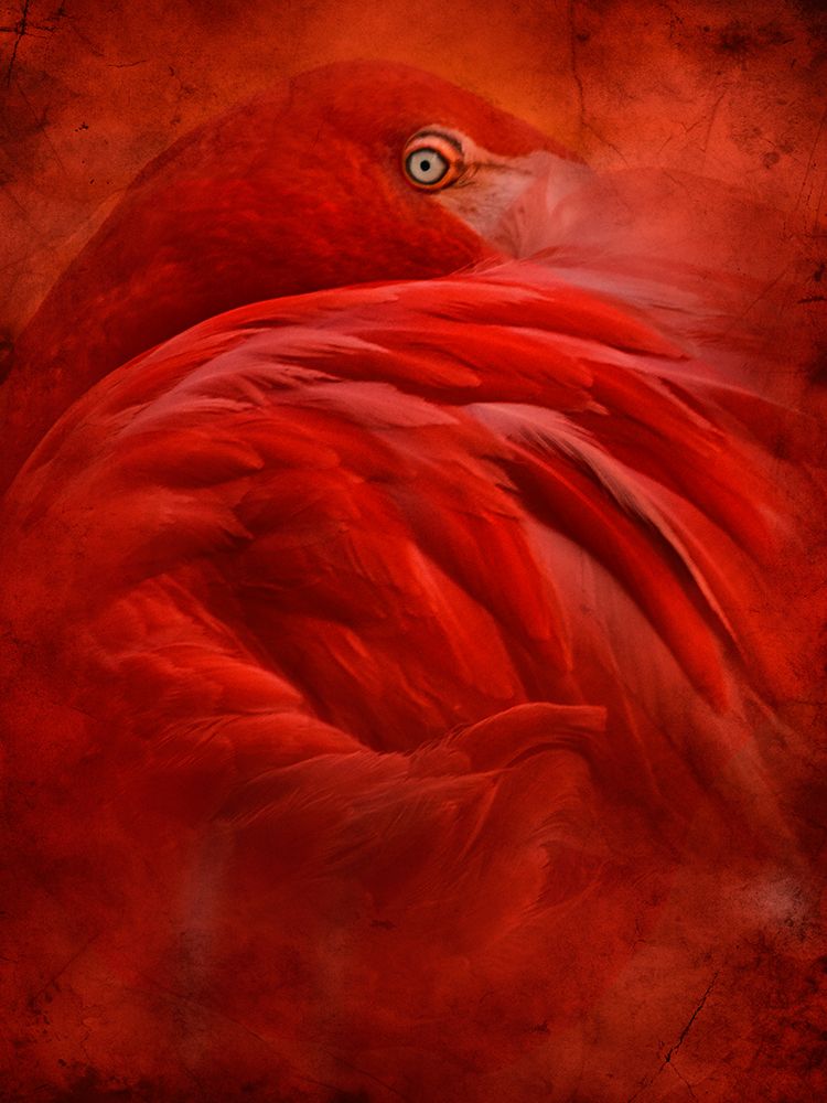 Tropical art print by Jeffrey Hummel for $57.95 CAD