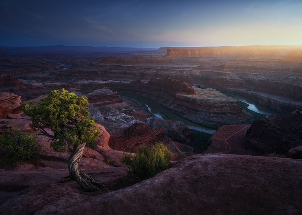 Deadhorse Land art print by Juan Pablo De for $57.95 CAD