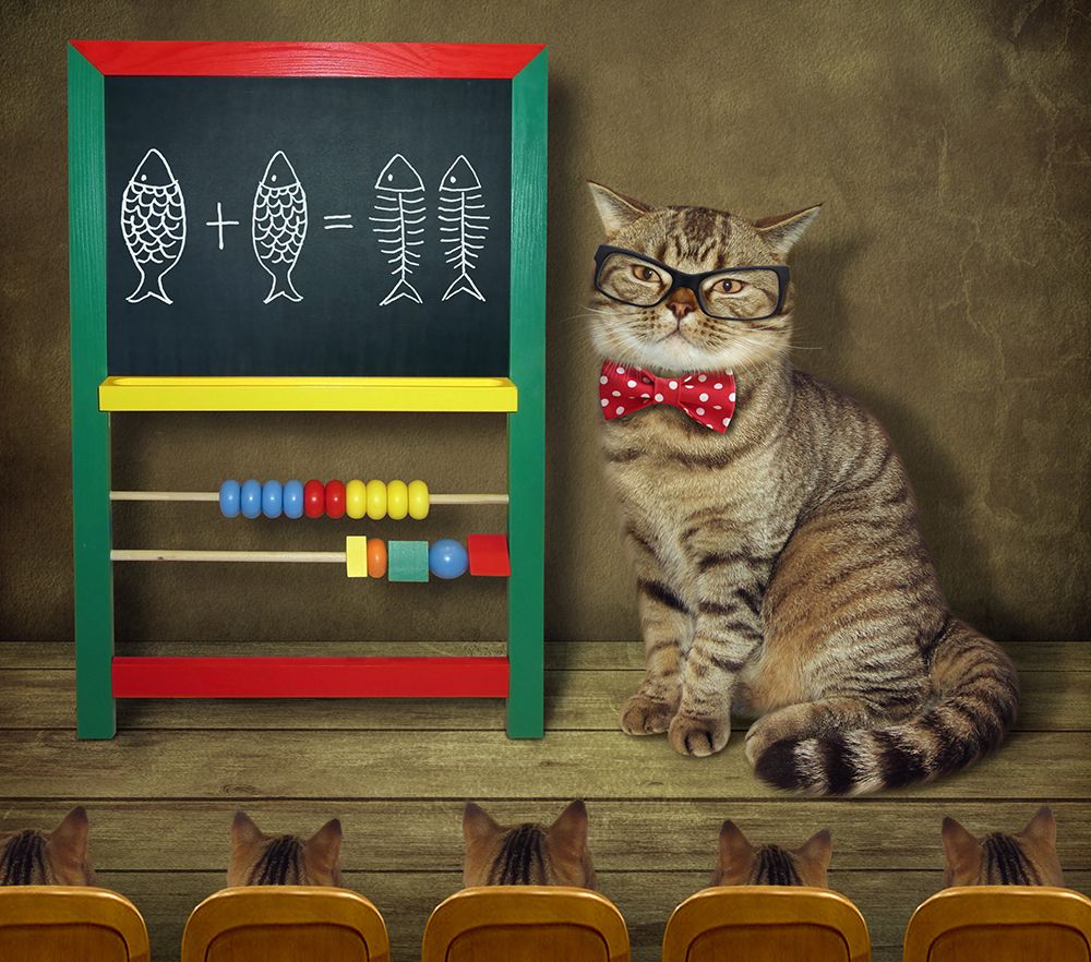 Math Lesson... art print by Iryna Kuznetsova for $57.95 CAD