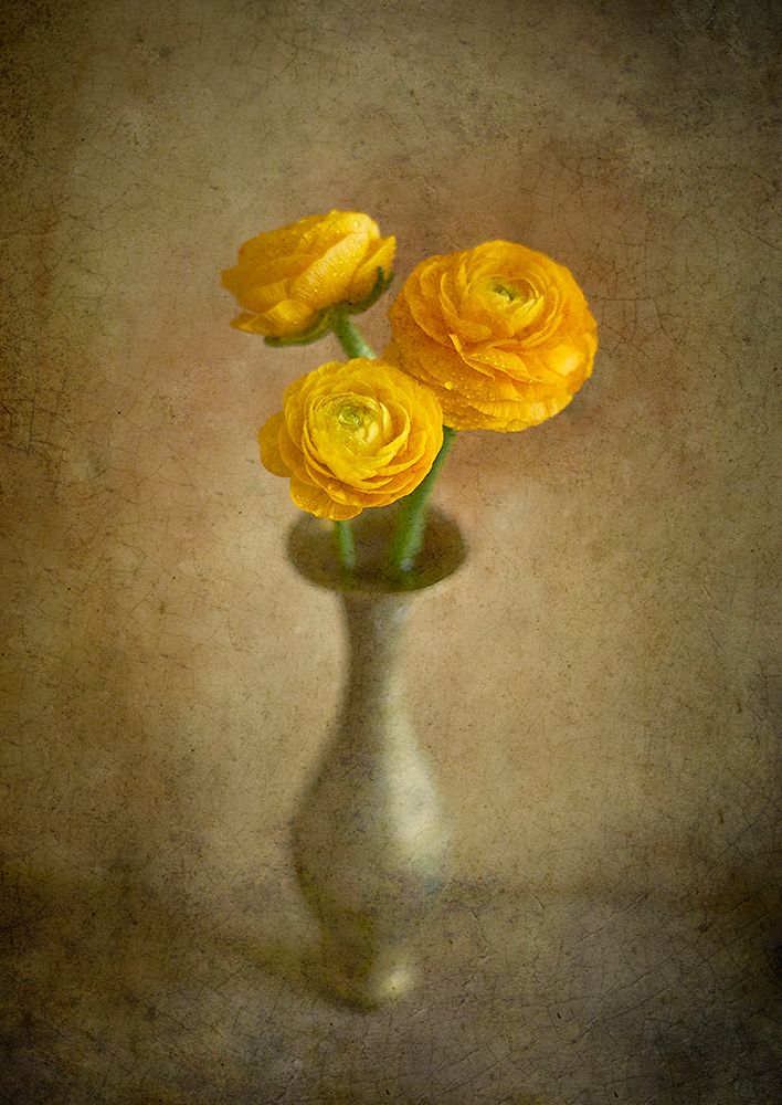 Yellow Buttercups art print by Igor Tokarev for $57.95 CAD