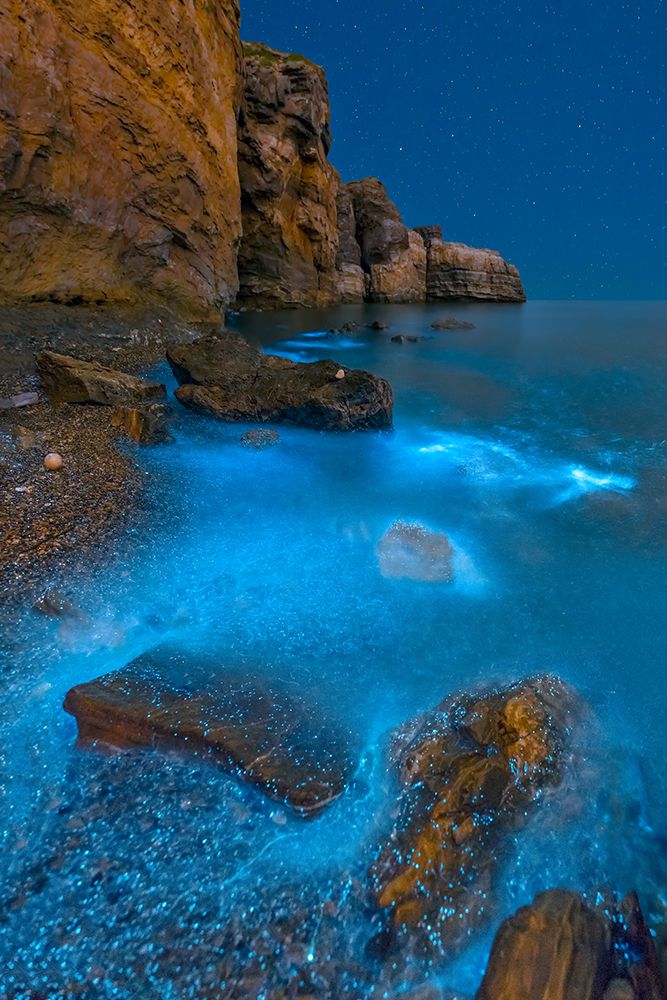 Bioluminescent Bay art print by Hua Zhu for $57.95 CAD