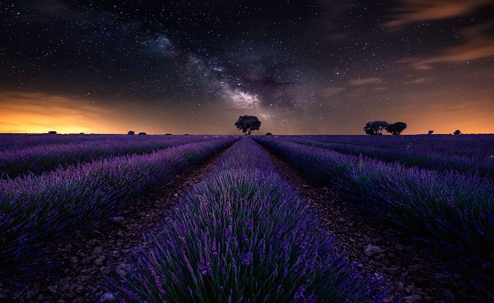 Fields Of Castilla art print by Jorge Ruiz Dueso for $57.95 CAD