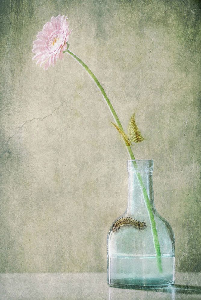 A Quiet Summer Day art print by Delphine Devos for $57.95 CAD