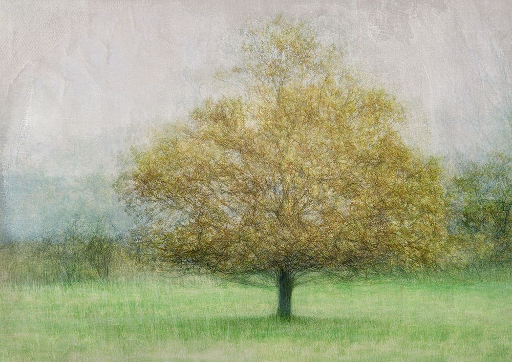 Solitaire art print by Katarina Holmstrom for $57.95 CAD