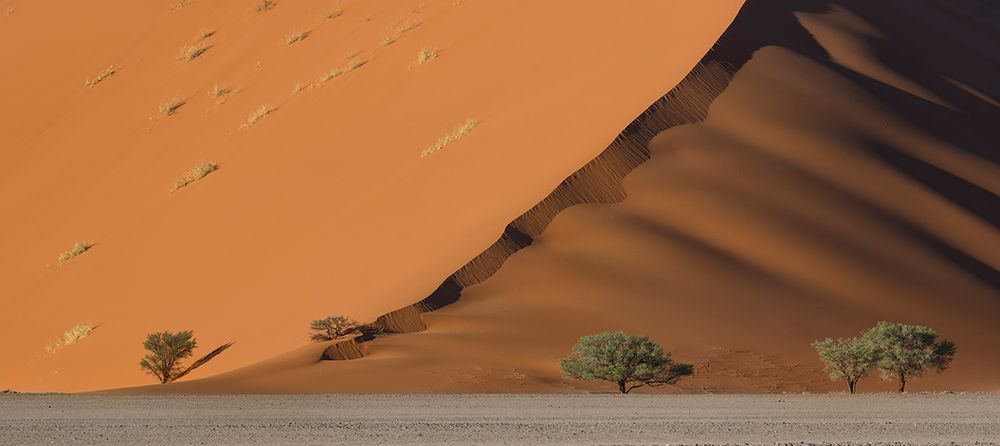 Dune art print by Roberto Marchegiani for $57.95 CAD