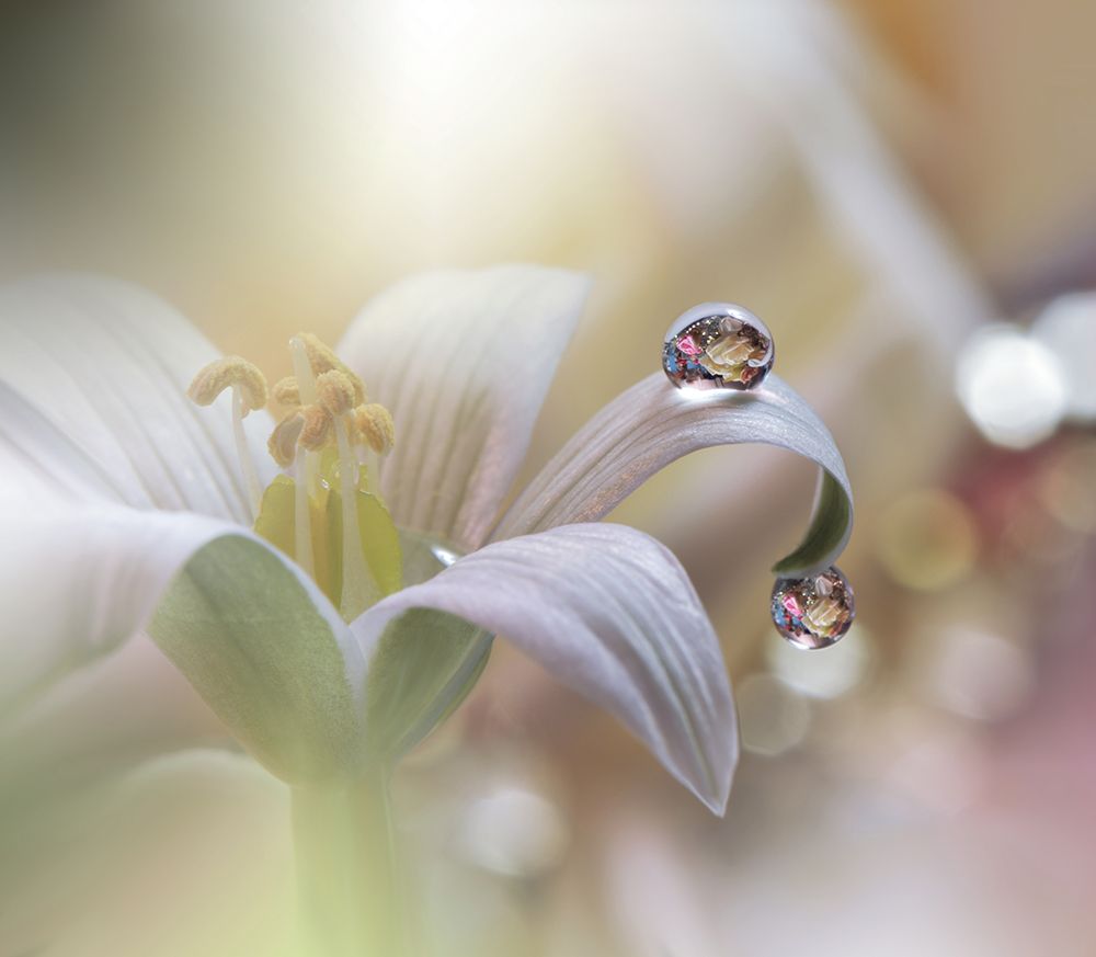 Tears Of Time.. art print by Juliana Nan for $57.95 CAD