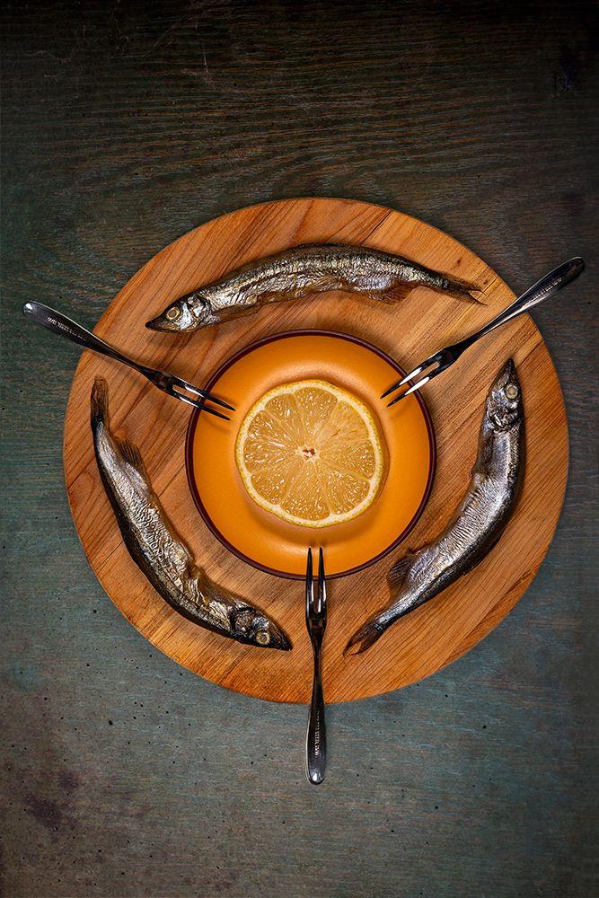 Three fish art print by Eyal Amer for $57.95 CAD