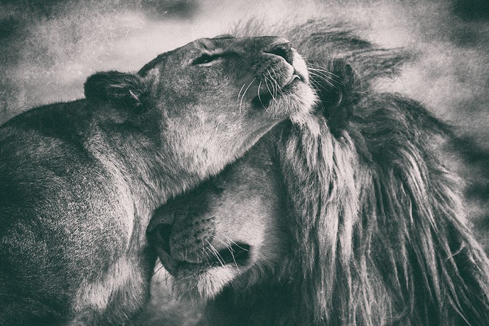 Love art print by Mohammed Alnaser for $57.95 CAD