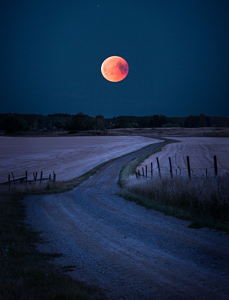 Bloodmoon 2018 art print by Christian Lindsten for $57.95 CAD