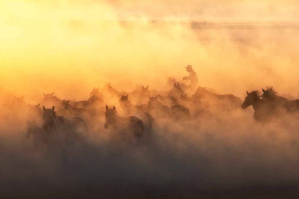 YAplkAp Horses art print by Ozden Sozen for $57.95 CAD
