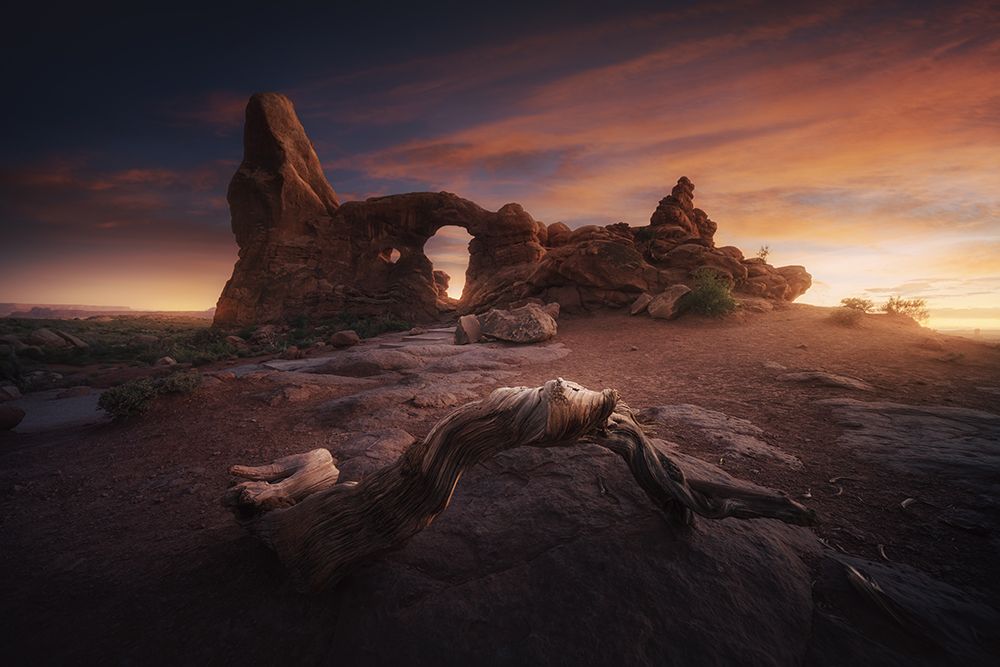 Roots Of Arches. art print by Juan Pablo De for $57.95 CAD