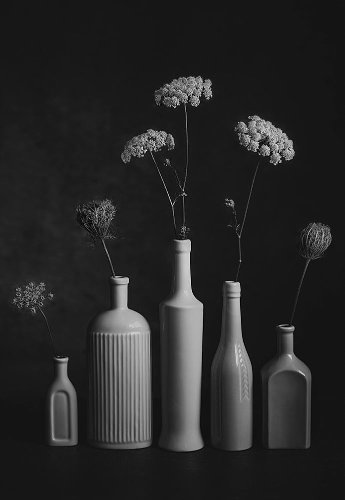 Daucus Carota art print by Lydia Jacobs for $57.95 CAD