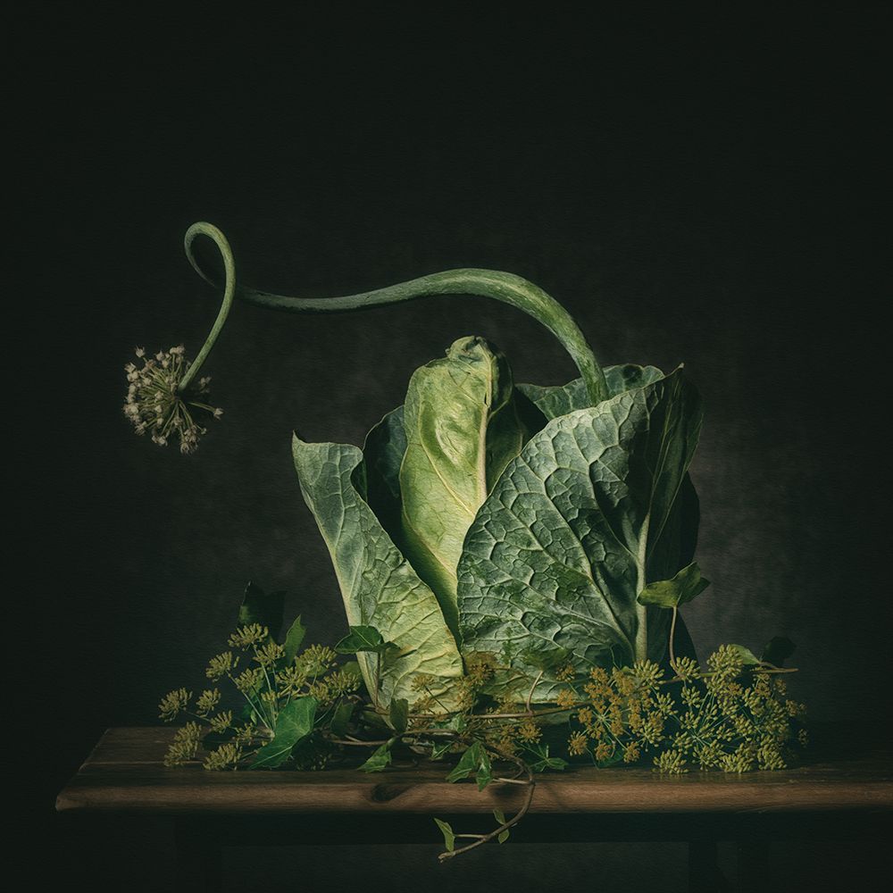 A green fairytale art print by Monique van Velzen for $57.95 CAD