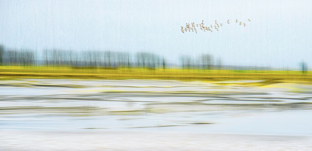 Peace art print by Mozart Chan for $57.95 CAD