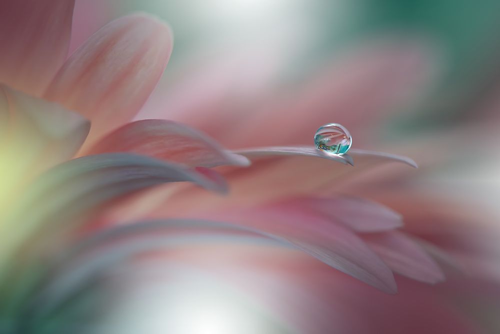 Sunbeam..Ii art print by Juliana Nan for $57.95 CAD