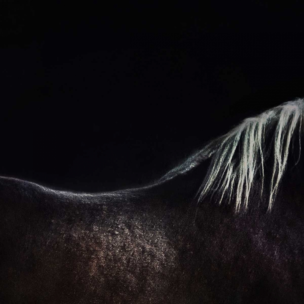 The Naked Horse art print by Piet Flour for $57.95 CAD