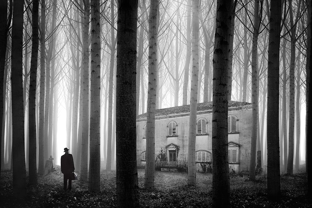 THE HOUSE art print by Marco Bizziocchi for $57.95 CAD