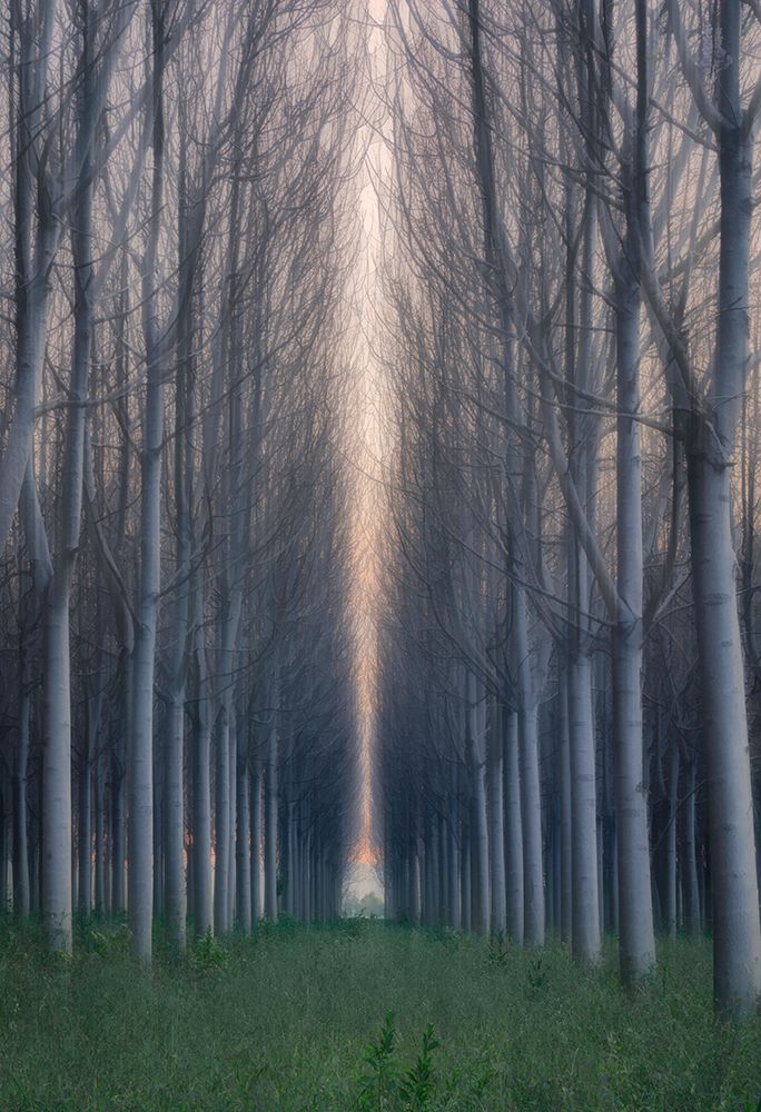 Moment Of Silence art print by Jingshu Zhu for $57.95 CAD