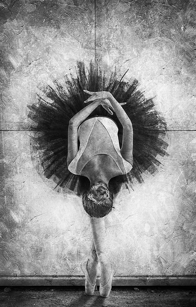 The Cassowary Dance art print by Sebastian Kisworo for $57.95 CAD