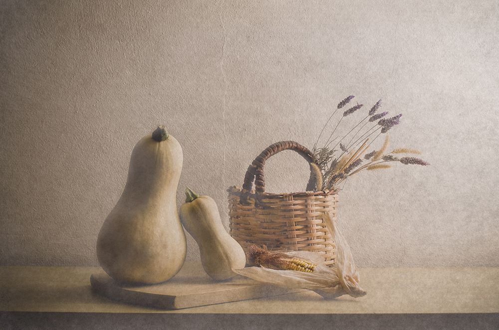 Pumpkins And Corn art print by Piera Polo for $57.95 CAD