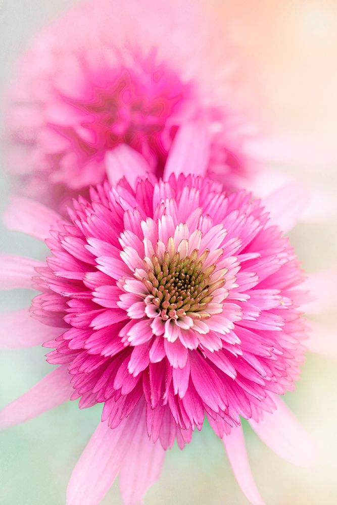 Summer Spirit art print by Jacky Parker for $57.95 CAD