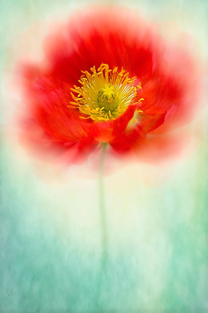 Sprite art print by Jacky Parker for $57.95 CAD