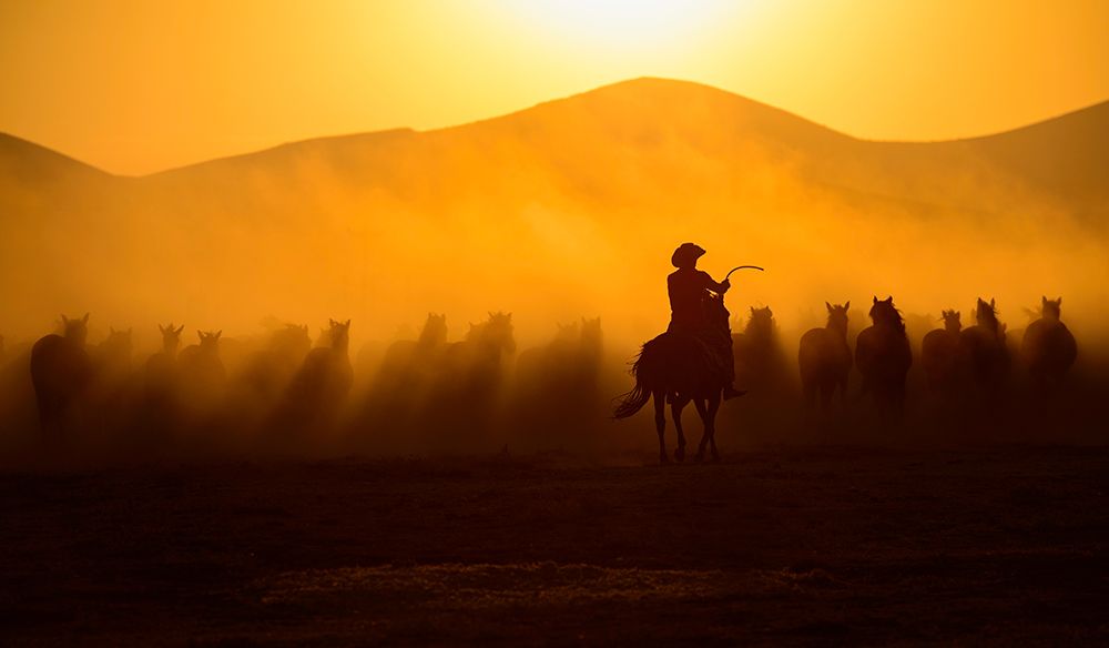 Chasing The Jades! art print by Yavuz Pancareken for $57.95 CAD