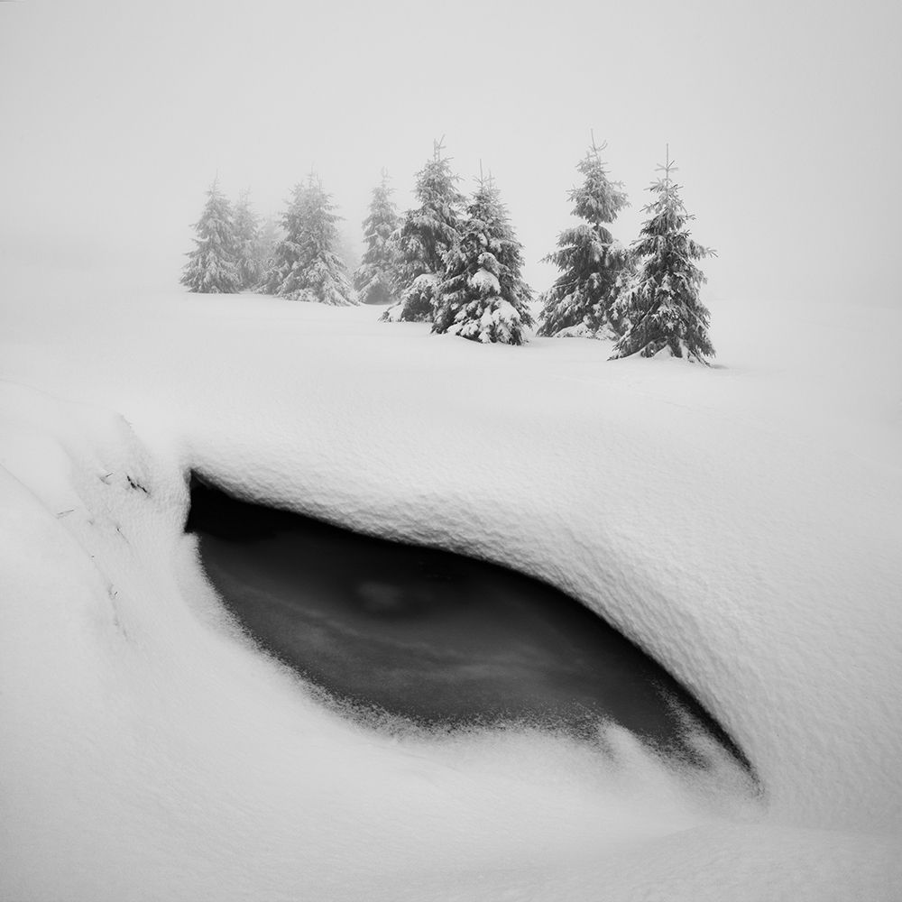 Dragon Eye art print by Daniel Rericha for $57.95 CAD