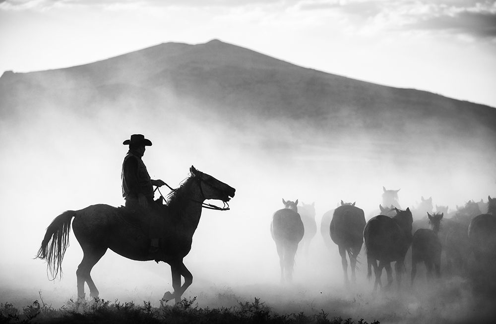 His Territory! art print by Yavuz Pancareken for $57.95 CAD