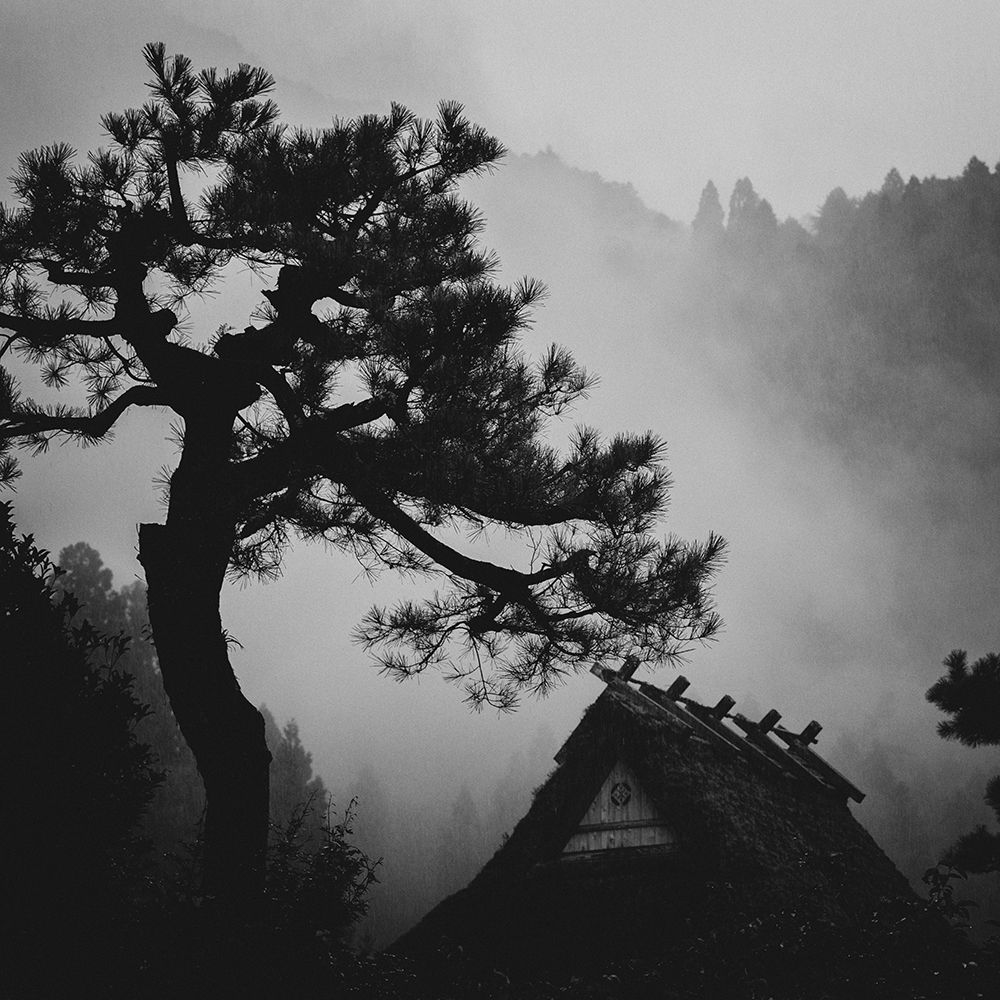 Pine art print by Tsuneya Fujii for $57.95 CAD