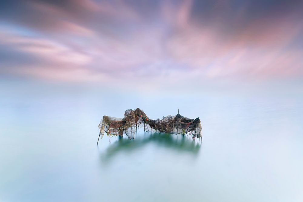 Netfish art print by Joaquin Guerola for $57.95 CAD