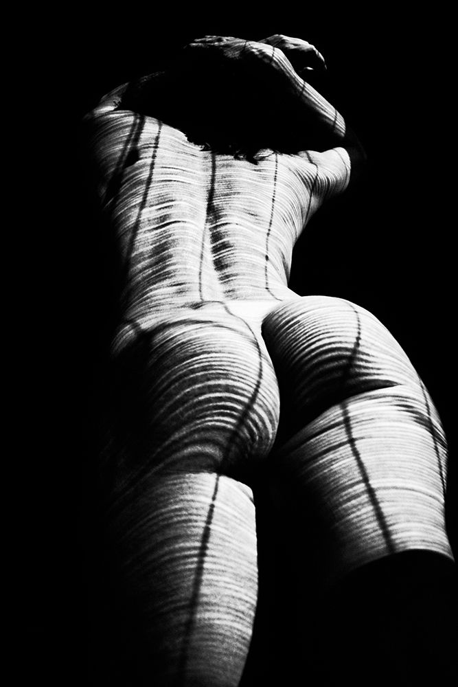 Hyper Zebra art print by Mikhail Faletkin for $57.95 CAD