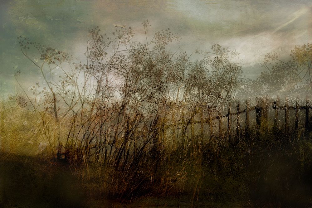 Old Dream art print by Nel Talen for $57.95 CAD