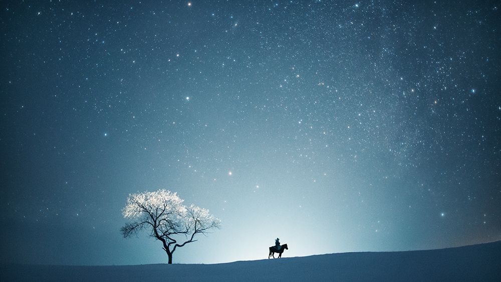 A Starry Night art print by Bingo Z for $57.95 CAD