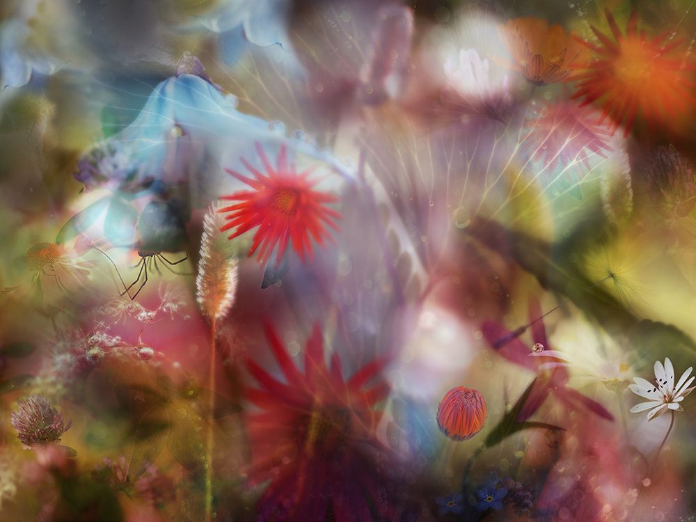 Summer Memories art print by Heidi Westum for $57.95 CAD