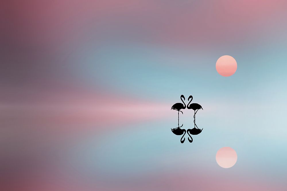Flamingo art print by Bess Hamiti for $57.95 CAD