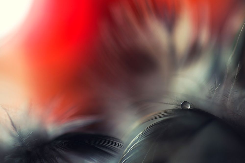 Stories of drops art print by Dmitry Doronin for $57.95 CAD