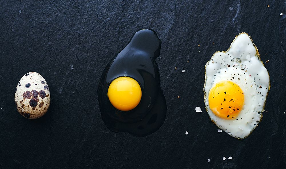 The Egg Way art print by Aleksandrova Karina for $57.95 CAD