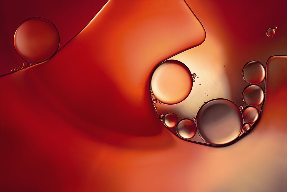 Intruder In Red Ll art print by Heidi Westum for $57.95 CAD