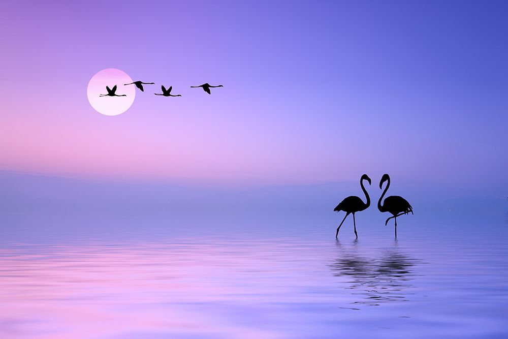 Flying Flamingo art print by Bess Hamiti for $57.95 CAD