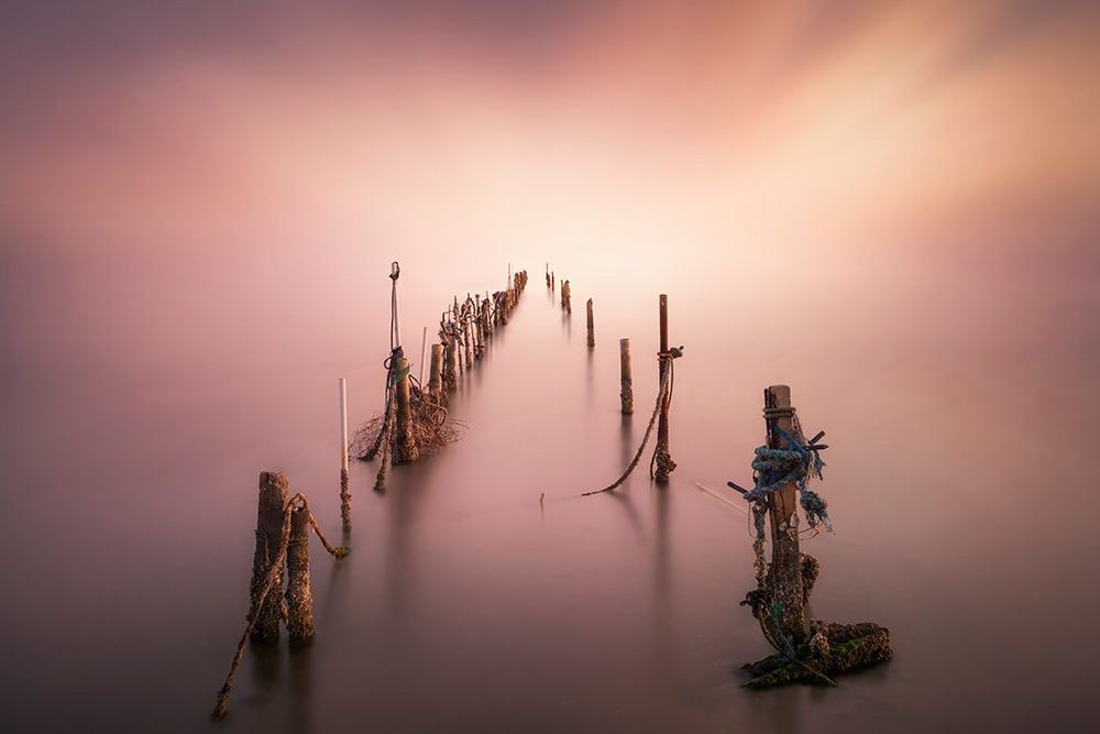 Sticks art print by Joaquin Guerola for $57.95 CAD