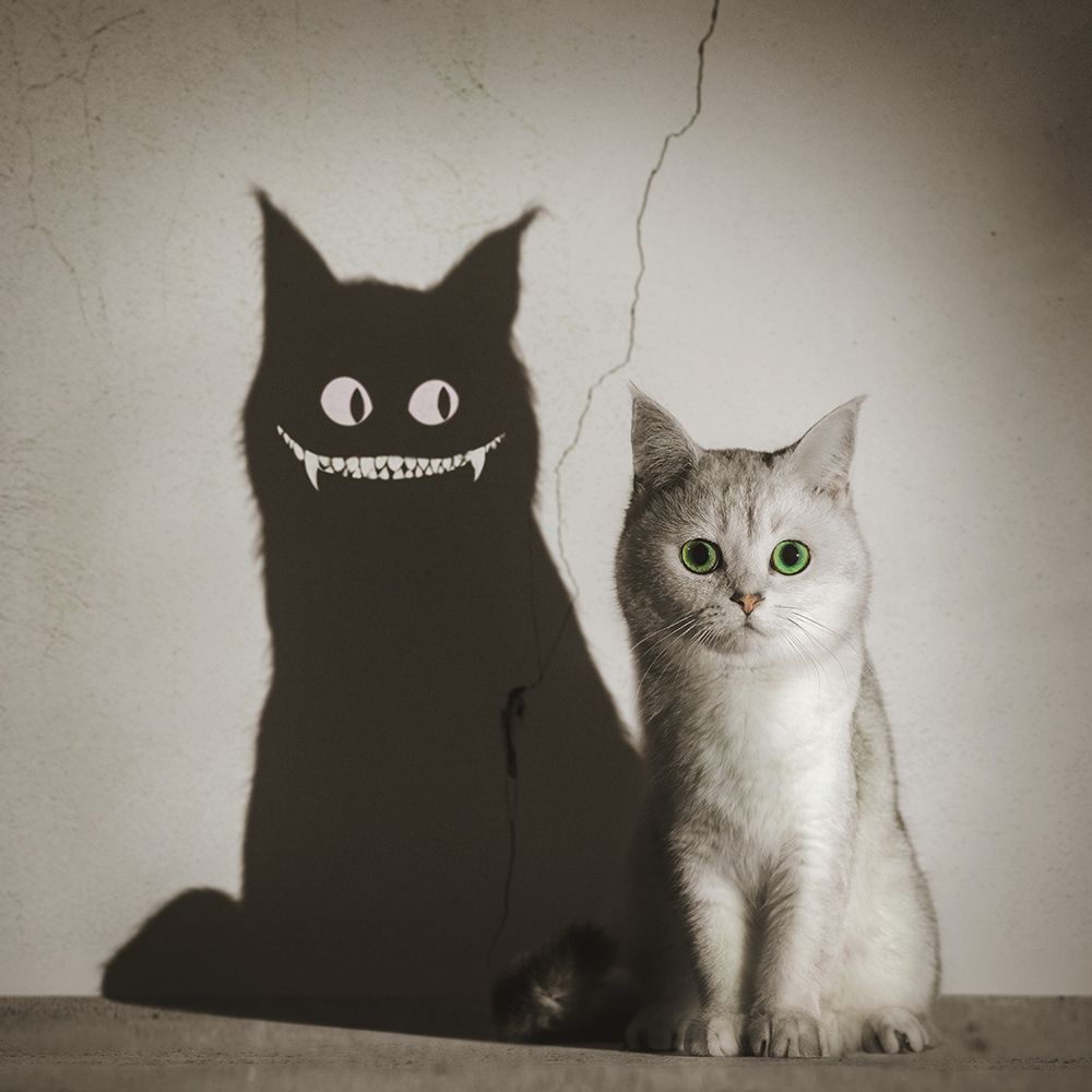 The Shadow Smiles To You art print by Terry F for $57.95 CAD