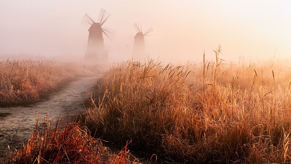 Morning Mist art print by Gwangseop Eom for $57.95 CAD