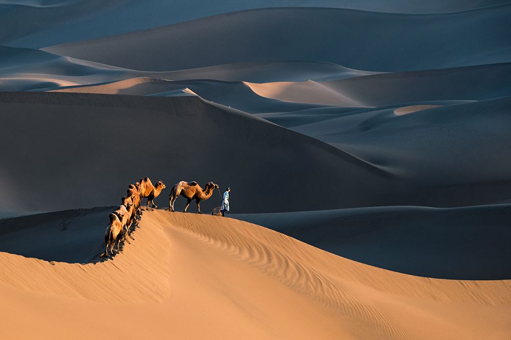 Desert Boat art print by Richard Liu for $57.95 CAD