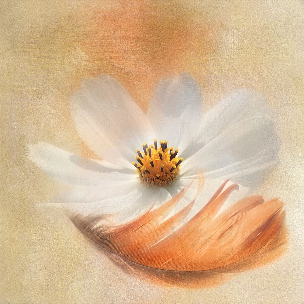 As Light As A Feather art print by Gaille Gray for $57.95 CAD