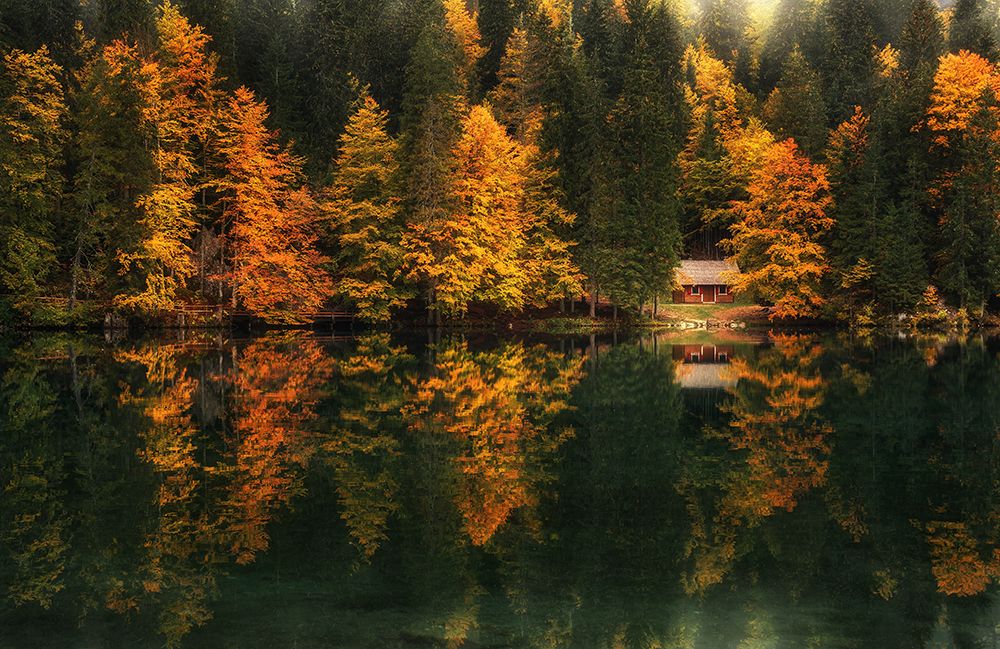 Landscapes prints and posters