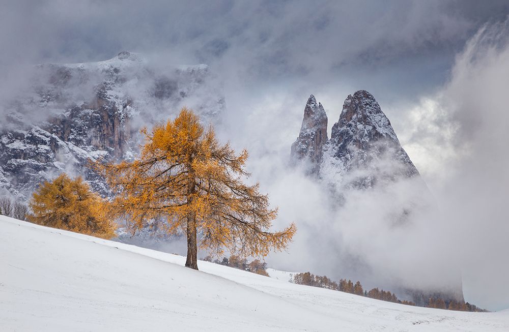 Between Seasons art print by Lazar Ioan Ovidiu for $57.95 CAD